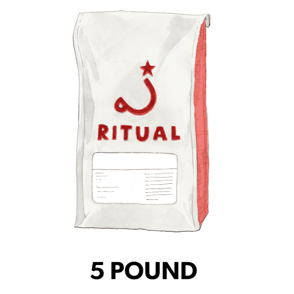 5lb white coffee bag illustration