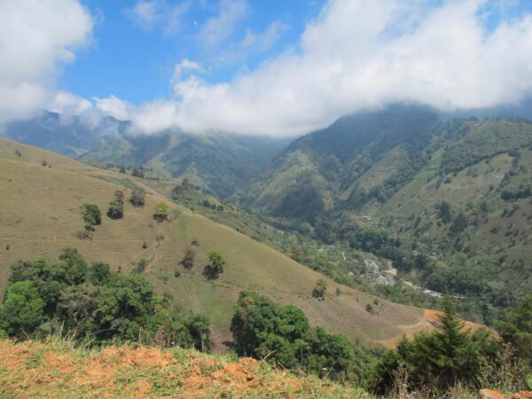 Finca El Alto Landscape