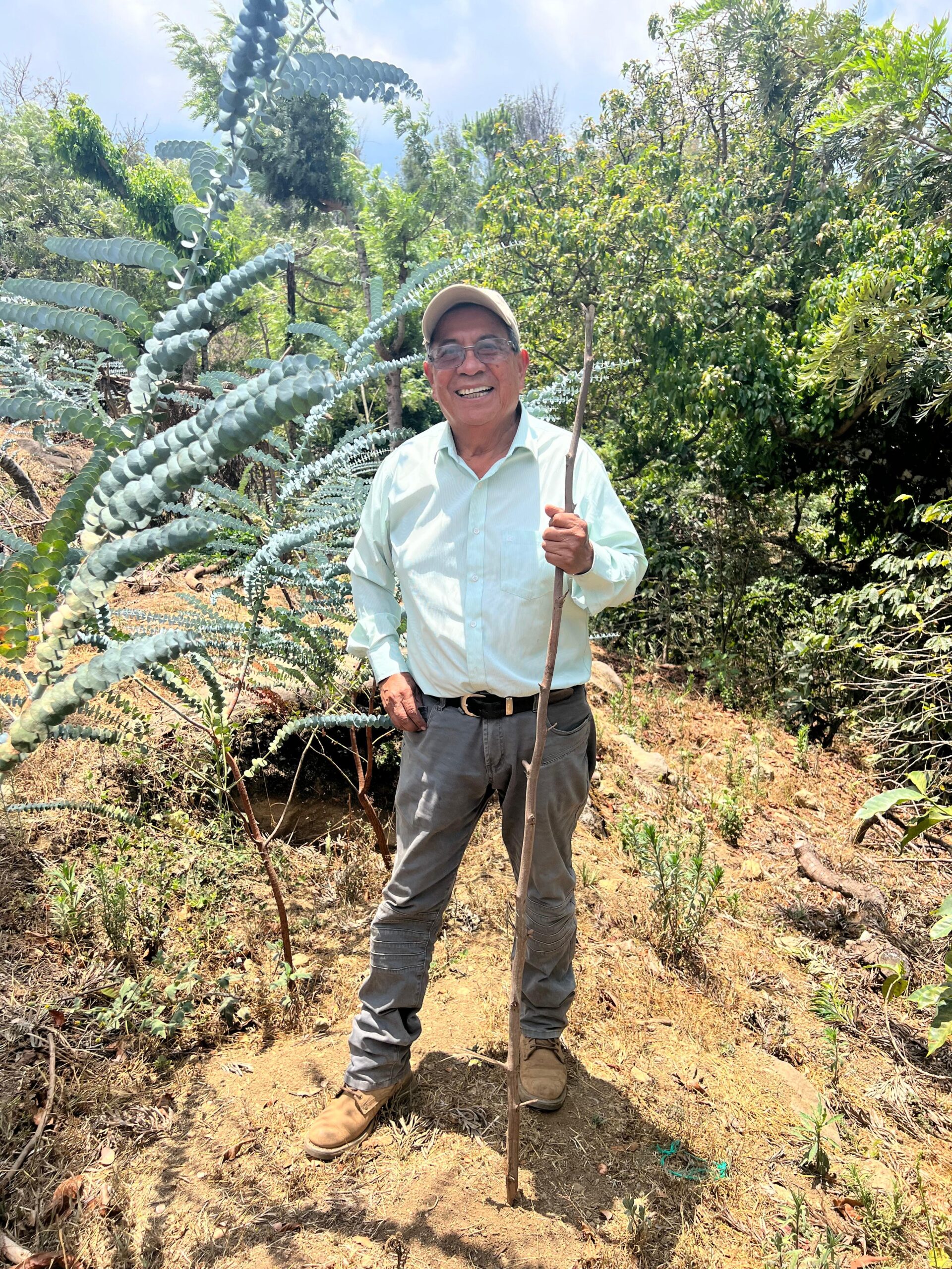 Fidel Raxcaco on his farm holding a tree branch