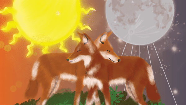 Two Ethiopian wolves together with the sun and moon in the distance behind them