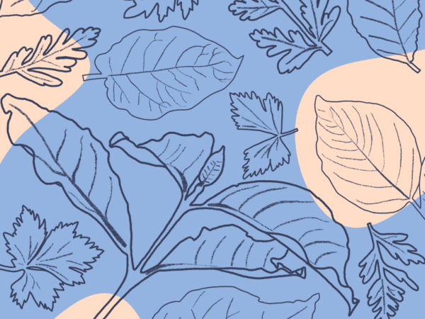Illustration of coffee and vegetable leaves
