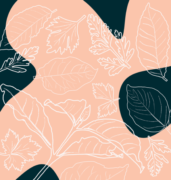 Illustration of coffee and vegetable leaves
