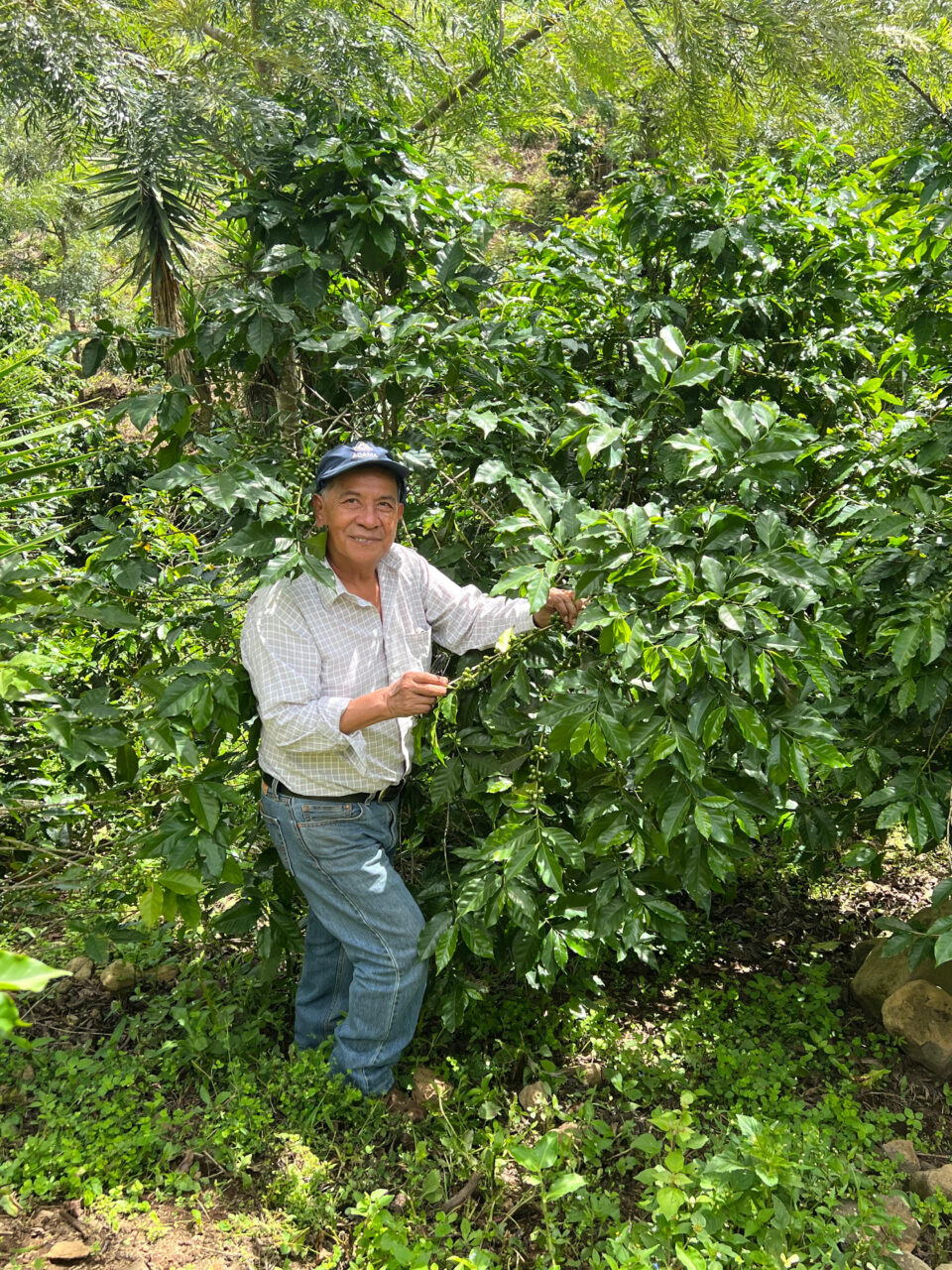 Fidel Raxcacó posing with tree branches