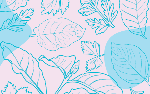 Illustration of coffee and vegetable leaves
